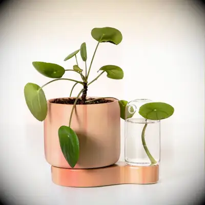 Self-watering plant pot