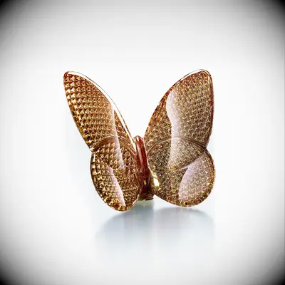 Butterfly clip