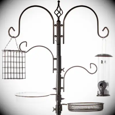 Bronze bird feeder gift