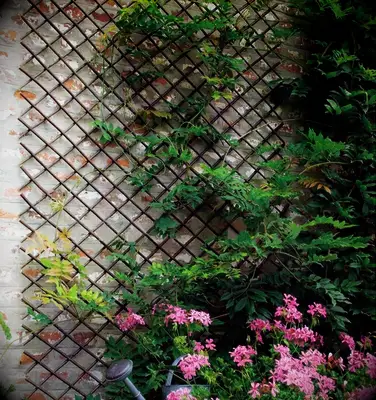 Willow Garden Trellis