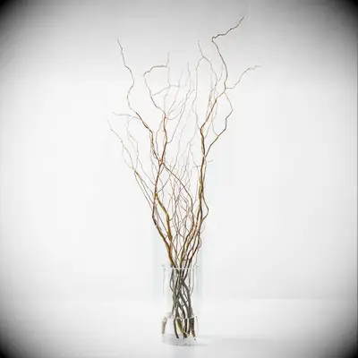 Willow branch table decor for the best anniversary gift