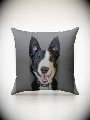 Customized pet pillow in-law gift
