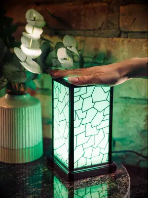 Touch lamp boyfriend appreciation gift