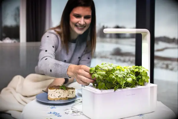 Click & Grow sentimental gift for girlfriend