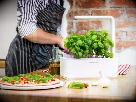 Click & Grow smart indoor garden wedding gift for brother