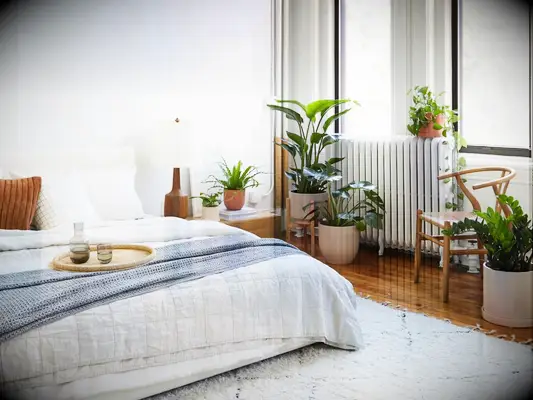 The Sill gift card last-minute bridal shower gift