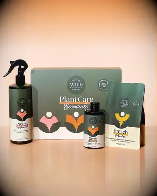 Plant grow essentials gift