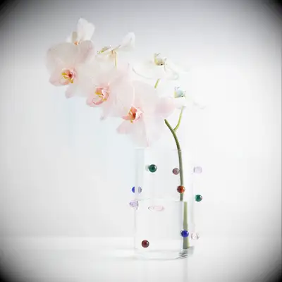 Cute flower vase