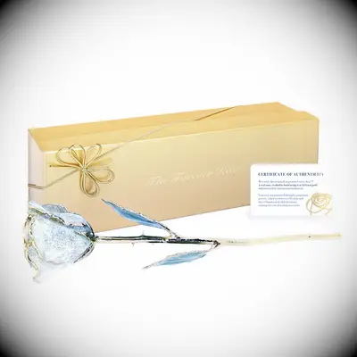 Romantic Forever Rose