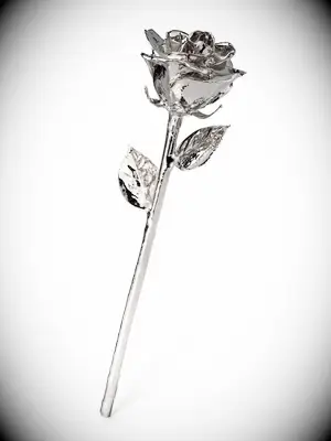 Rose preserved in platinum modern 20-year anniversary gift
