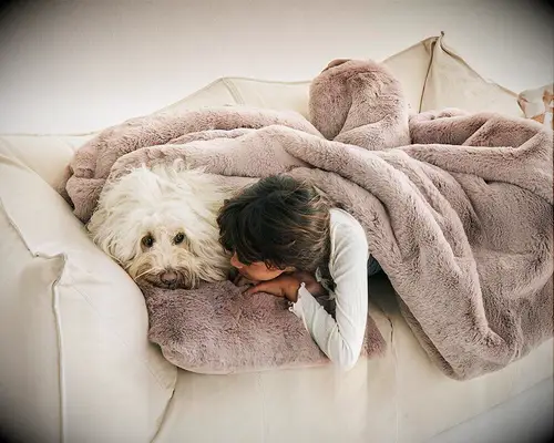 Weighted faux fur blanket 13th anniversary gift