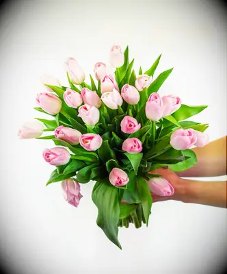 Bouquet of tulips mother