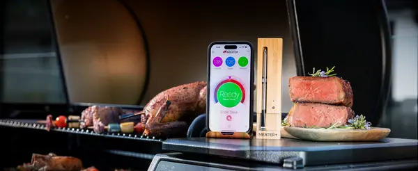 Wireless meat thermometer father