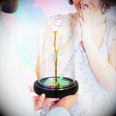 Enchanted rose light Valentine