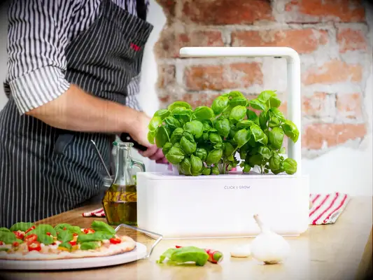 Click & Grow smart indoor garden 11th wedding anniversary gift