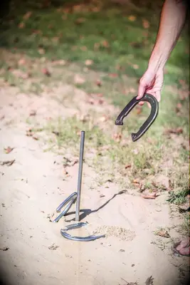 Horseshoe lawn game 11 year anniversary gift