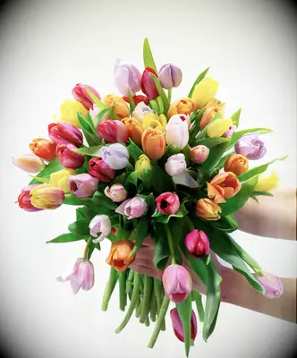 Tulip bouquet 11 year anniversary gift