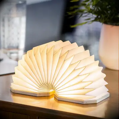 Accordion night light