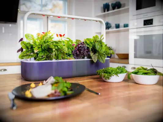 Indoor Smart Garden