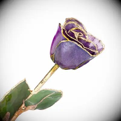Purple forever rose with gold details