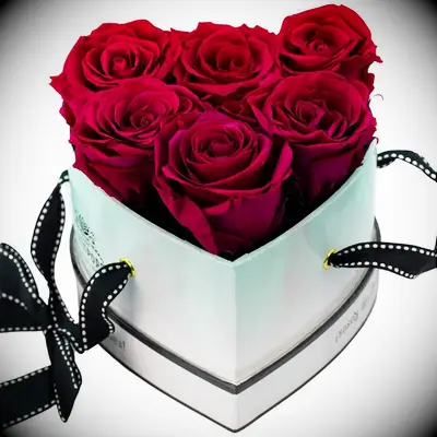Preserved red roses in heart-shaped box long-distance relationship gift idea