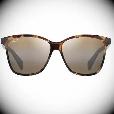 Two tone brown sunglasses from Amazon