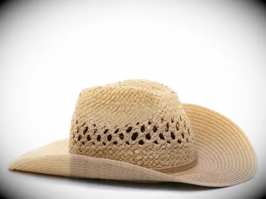 Brown straw hat from DSW