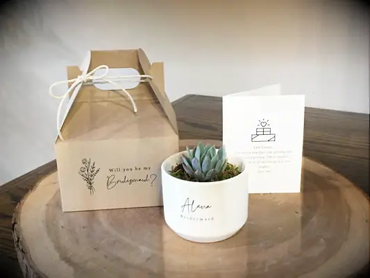 Etsy plantmymessage plant bridesmaid proposal box