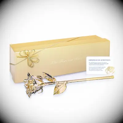 24K Gold Dipped Rose