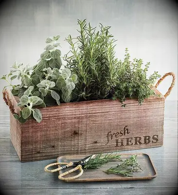 Reclaimed wood herb garden holiday gift for husband