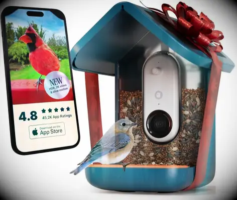Smart bird feeder holiday gift for husband