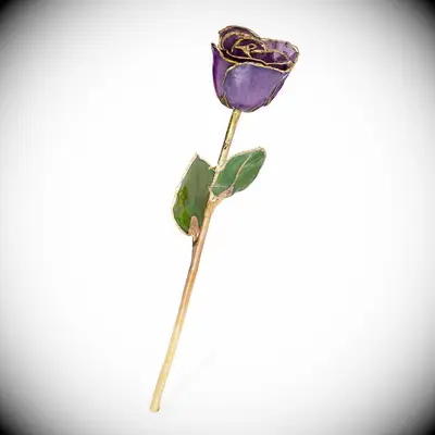 Amethyst forever rose gift