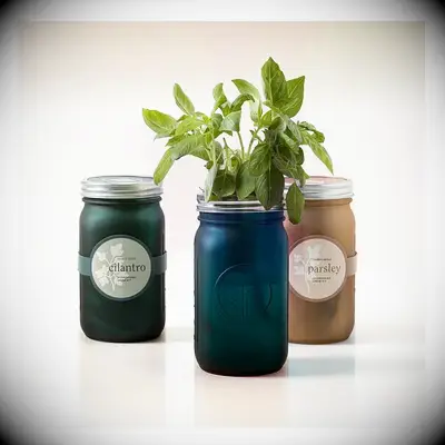 Sarah Burrows & Nick Behr Indoor Herb Garden gifts for boyfriend