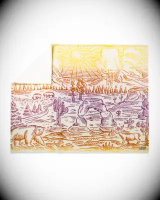 Parks Project fleece throw gift for boyfriend