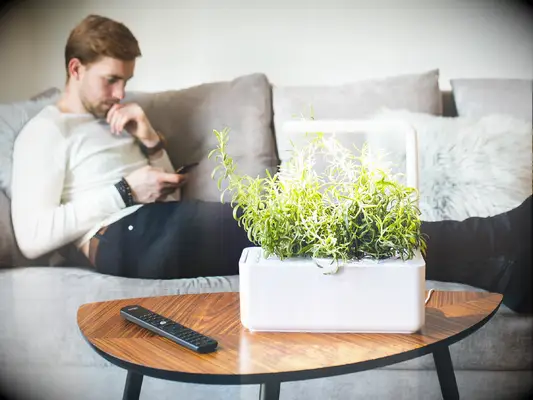 Click and Grow smart indoor garden gift for son-in-law