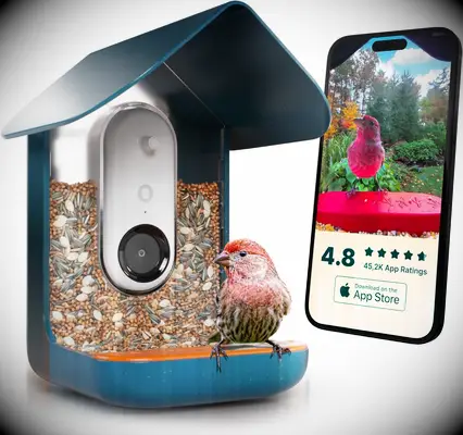 Smart bird feeder son-in-law gift