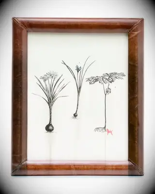 Brown leather photo frame