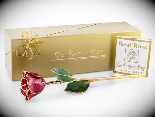 Gold-trimmed preserved red rose wedding gift for bride
