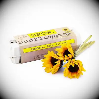 30 archiviazione di consigli per la tua ragazza per rompersi i calzini