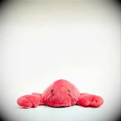 Microwaveable lobster stuffed animal funny Valentine