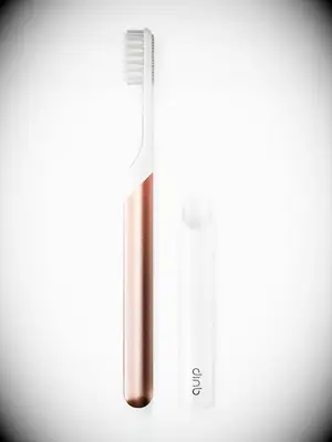 Toothbrush stocking stuffer for wife