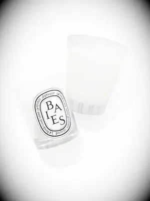 Diptyque Baies candle wedding gift for coworker