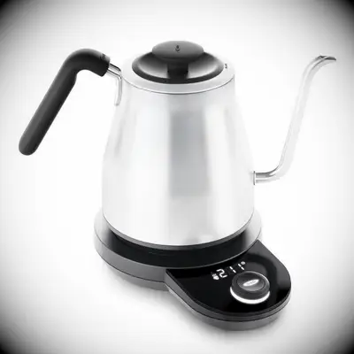 Stainless steel electric tea kettle