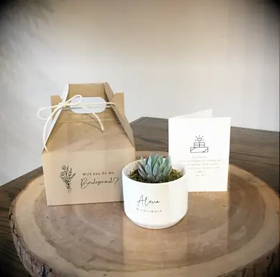 Mini succulents and card bridesmaid proposal gift