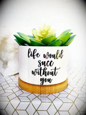 Funny succulent plant pot just because gift