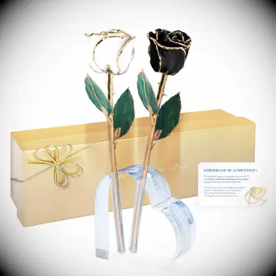 Two forever roses gift set