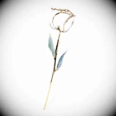 The Forever Rose preserved rose wedding gift for sister