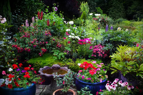 Home garden with colorful flowers and plants for DIY anniversary gift