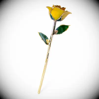 Preserved Rose Flower anniversary gift idea