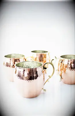 Moscow mule mug gift